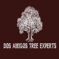 Dos Amigos Tree Experts image 1